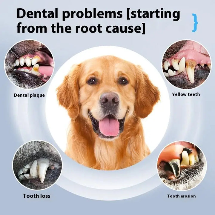 BowLift | DentoraSonic | Ultrasound dental care device for dogs & cats | 5-level tartar remover | USB charging
