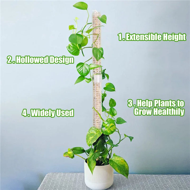 BowLift | Pillar for climbing plants and green plants – Support columns for vertical plant cultivation