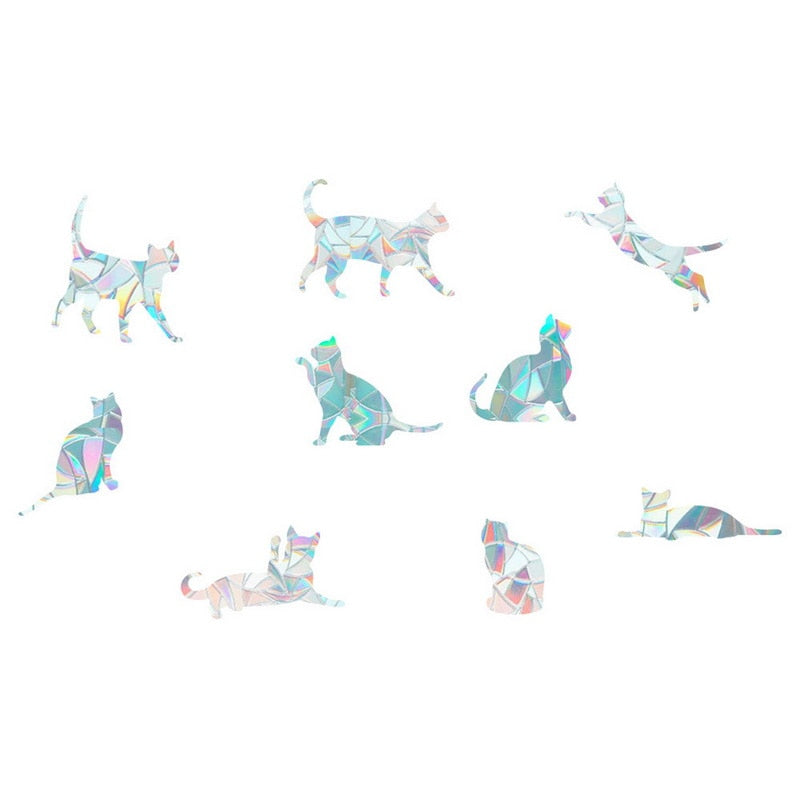 BowLift | Sun Catchers