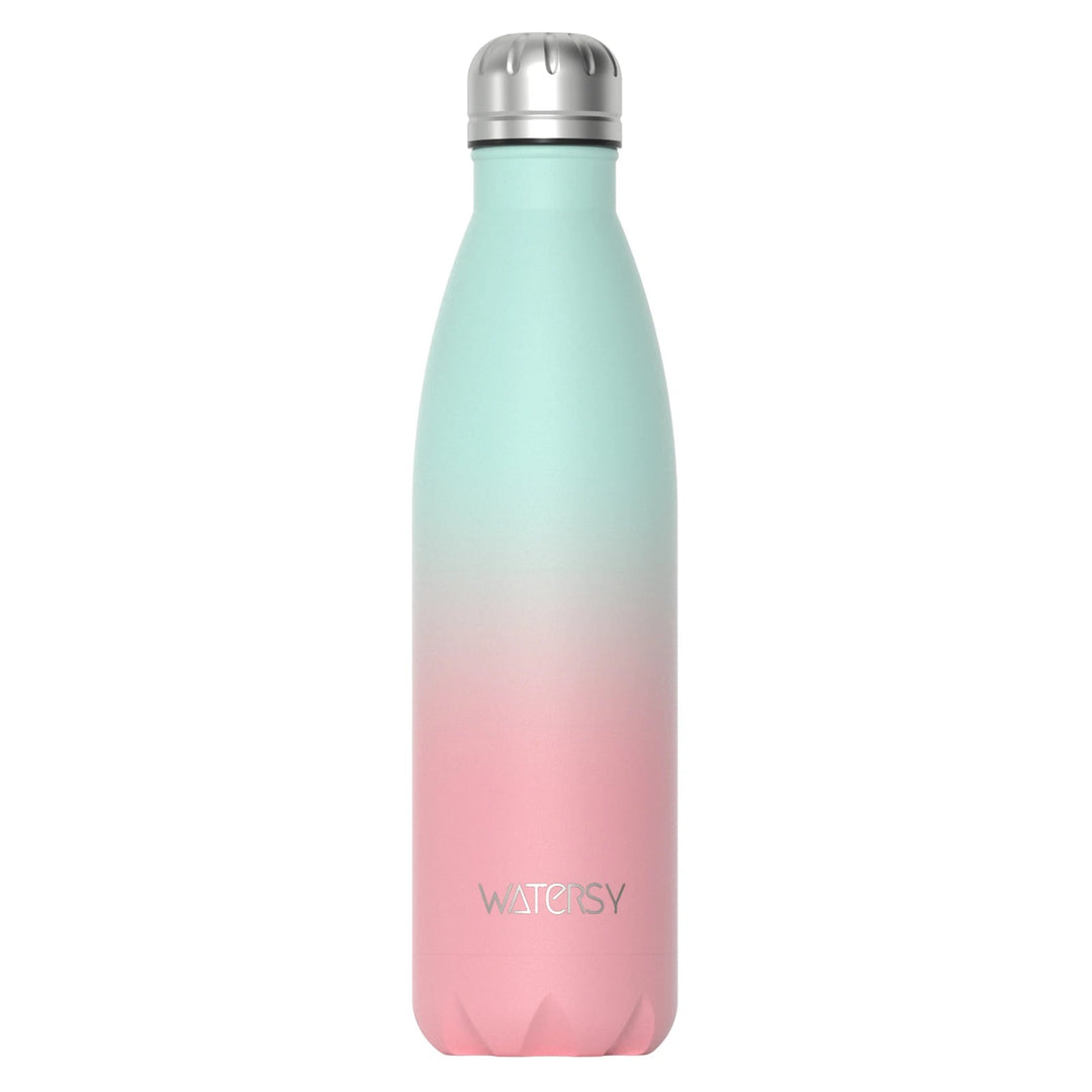 500 ml stainless steel bottle with vacuum insulation | Bowlift