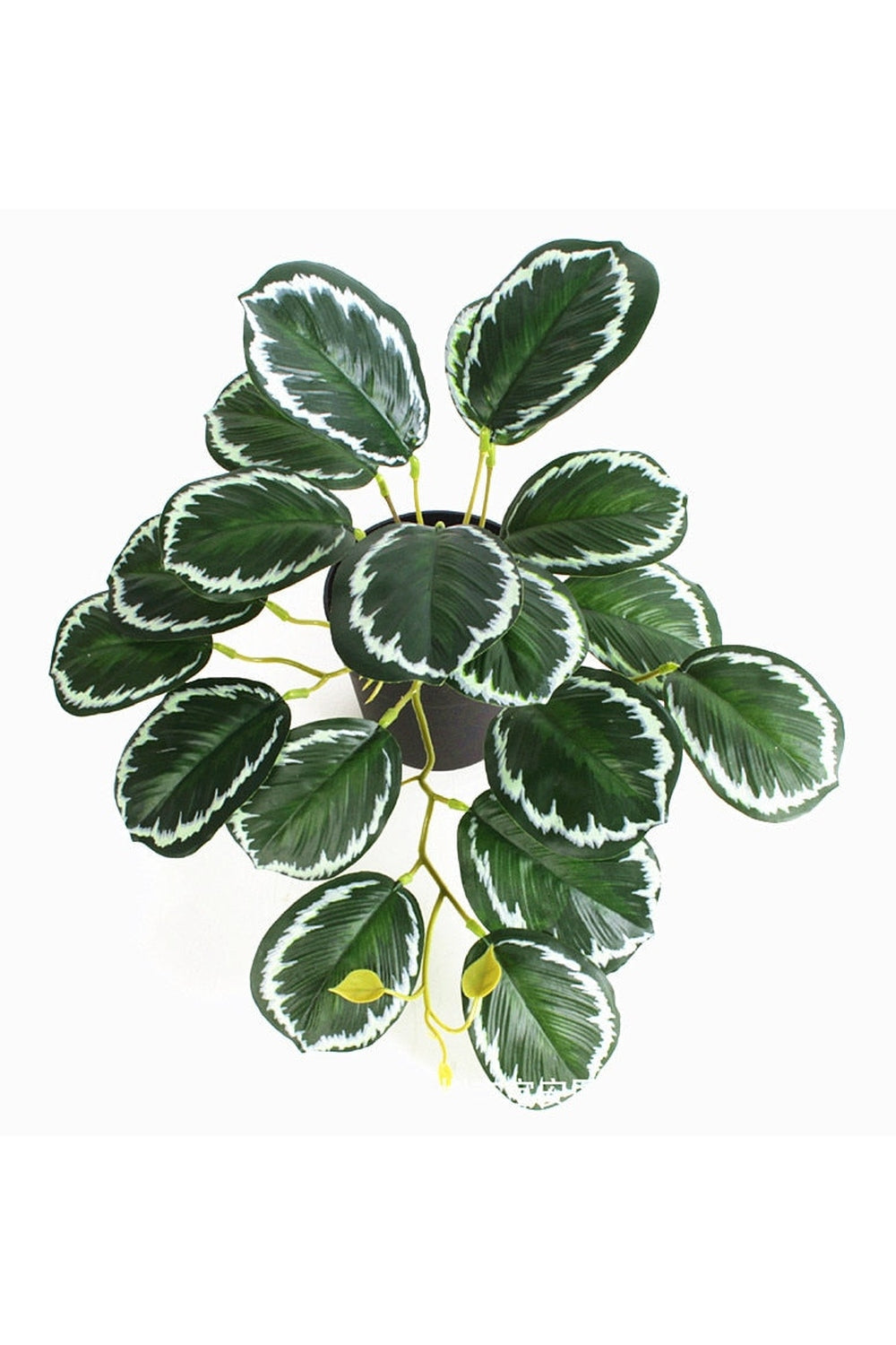 green grapevine wall decoration | Bowlift