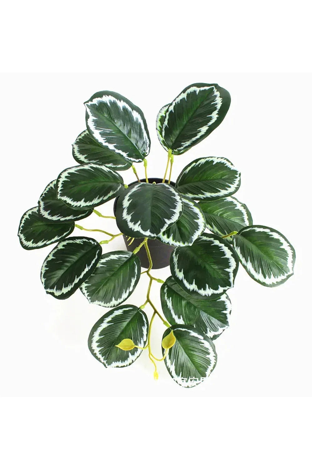 Green Artificial Plants | Bowlift
