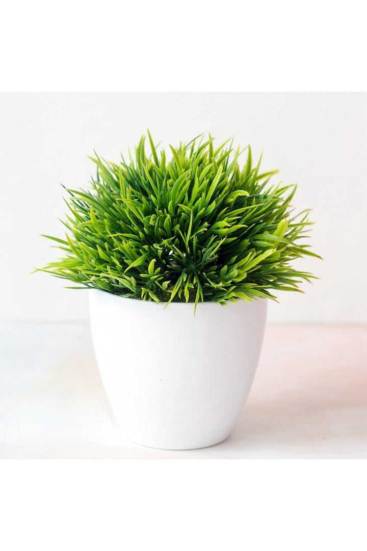 Bonsai Artificial Plant | Bowlift