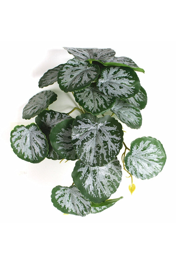 green grapevine wall decoration | Bowlift