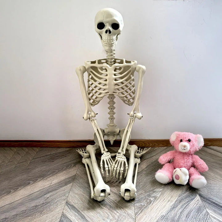 BowLift | Movable human skeleton 90–165 cm — realistic decoration for Halloween and horror parties