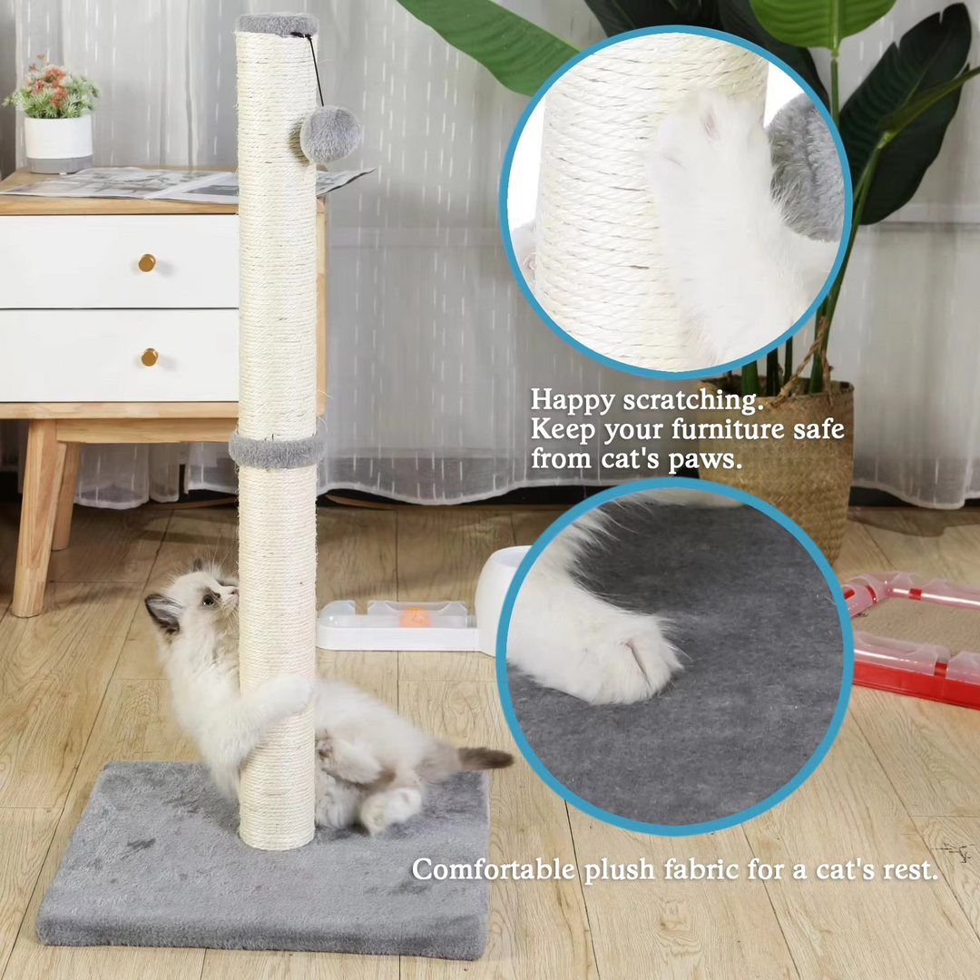 BowLift | Tall Sisal Cat Scratching Post with Dangling Ball for Indoor Cats and Kittens