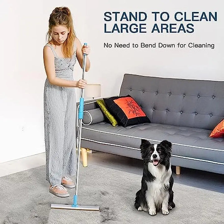 BowLift | Telescopic Handle Pet Hair Remover