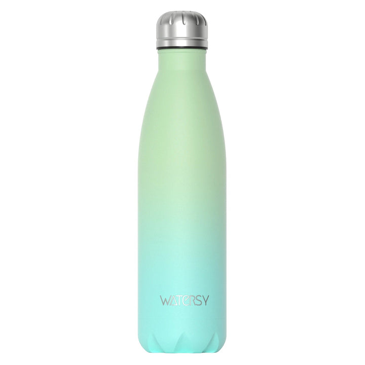 500 ml stainless steel bottle with vacuum insulation | Bowlift