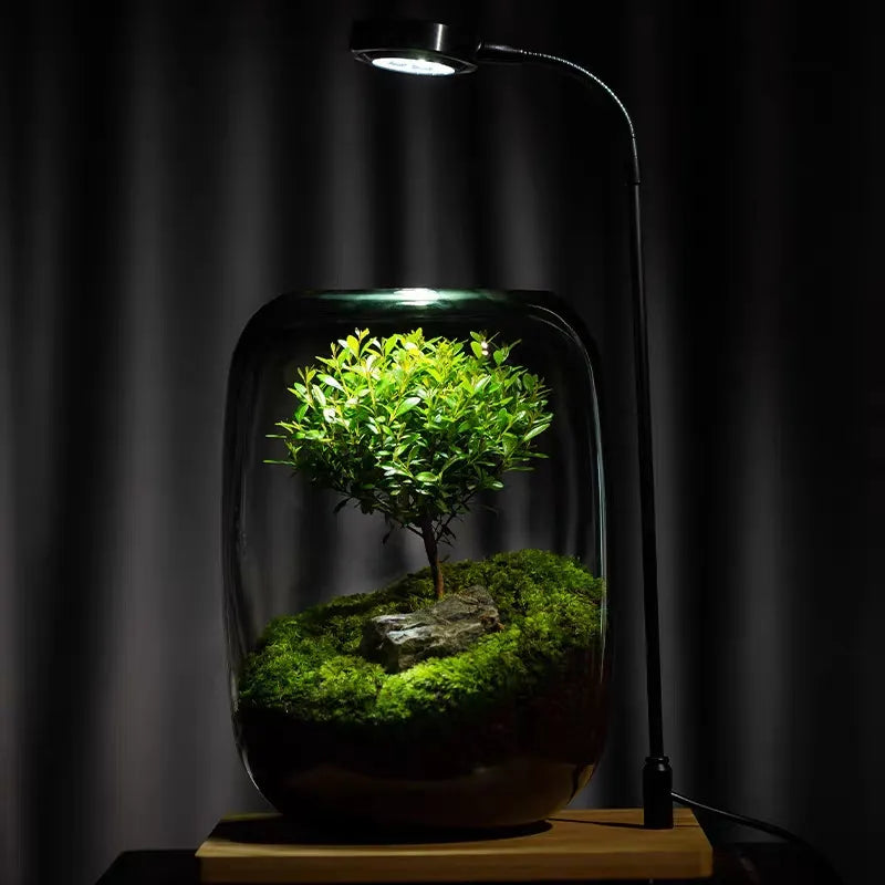 Micro Landscape Green Oasis Glass Vase | Bowlift