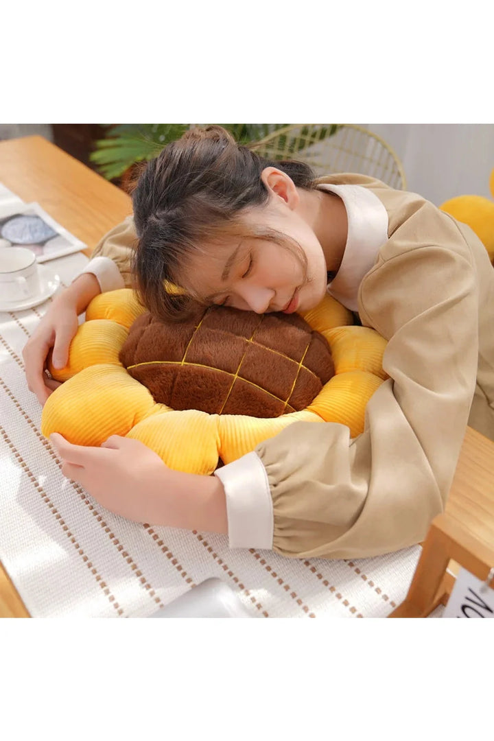 Plush pillow | Bowlift