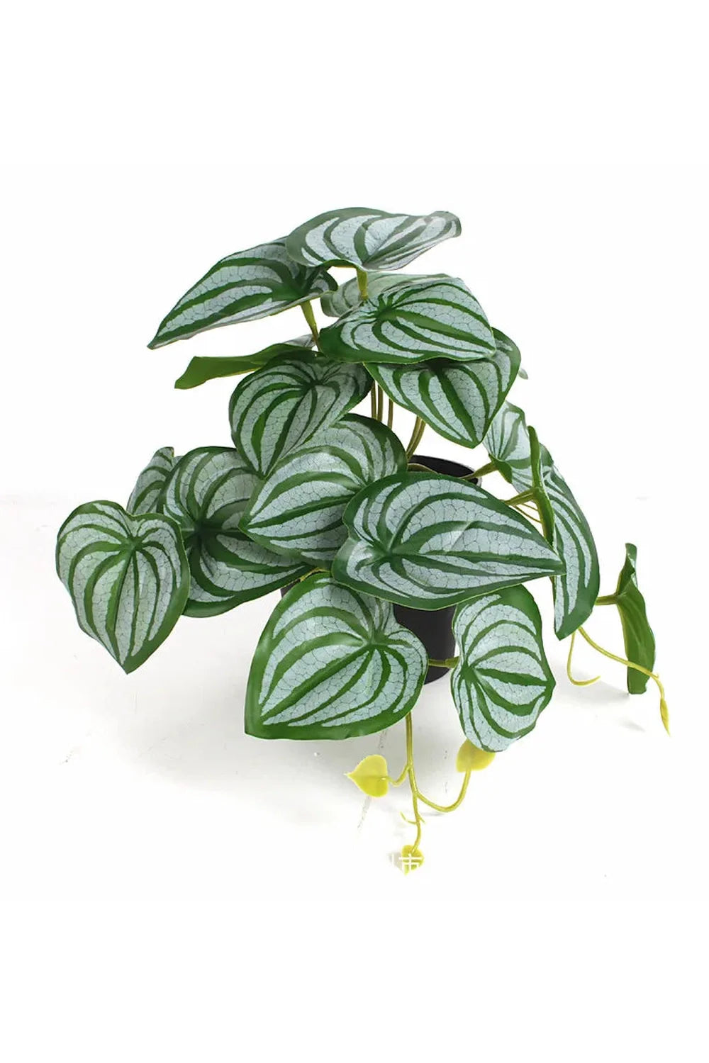 Green Artificial Plants | Bowlift