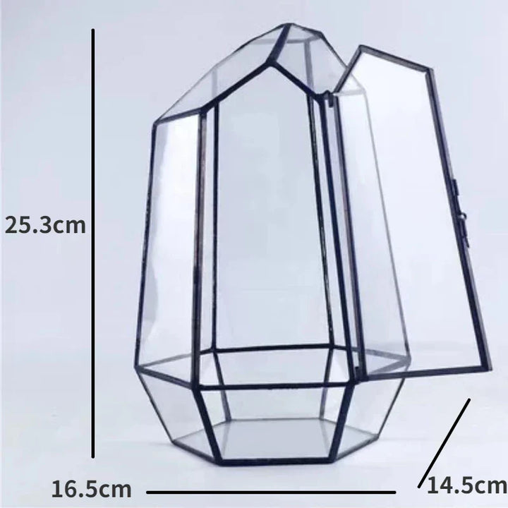 Modern Geometric Nature-Inspired Botanical Terrarium | Bowlift