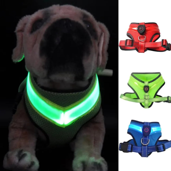 LED Dog Harness USB rechargeable & adjustable Bowlift
