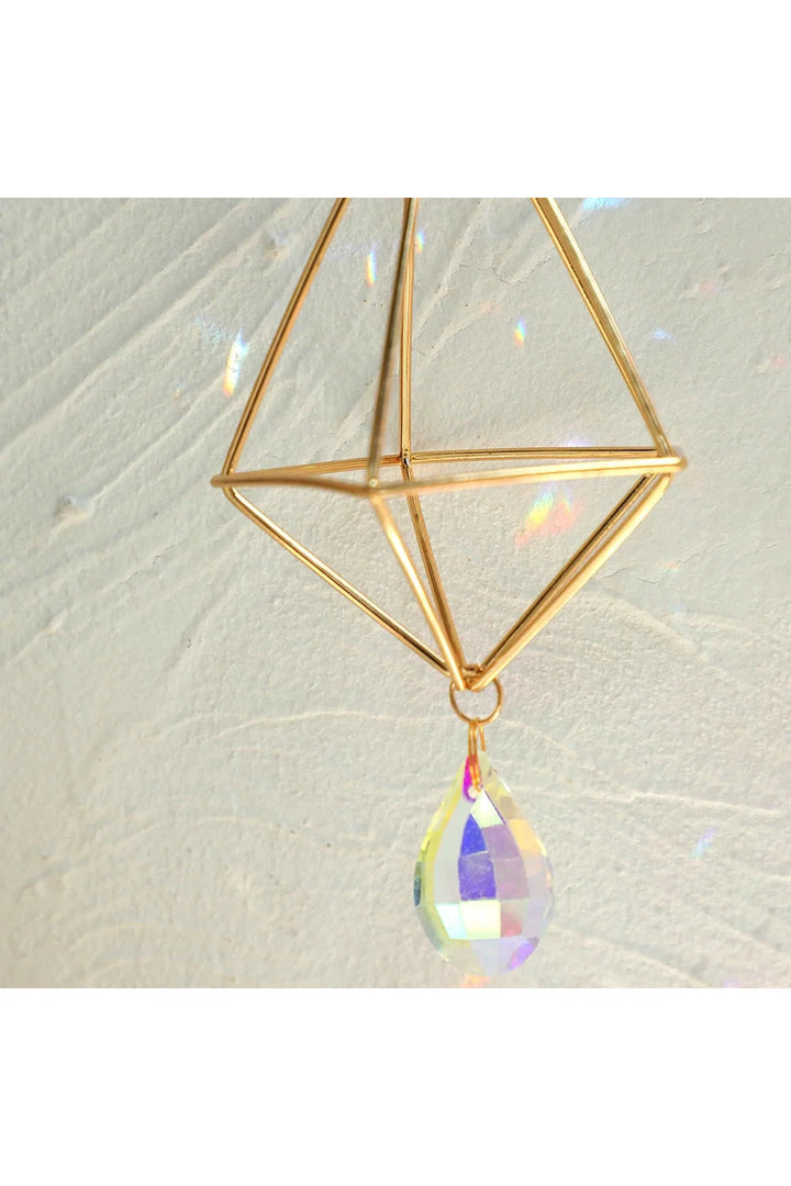 Air Plant Sun Catcher | Bowlift