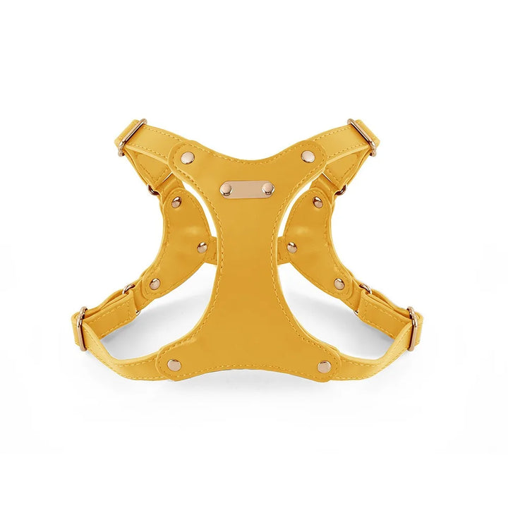 Adjustable Leather Dog Harness with Custom Engraving Bowlift