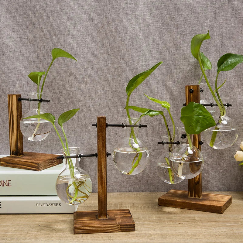 BowLift | Vasoya Glass Vases | 3-Piece Set with Wooden Frame | Scandinavian & Versatile | For Flowers & Hydroponics