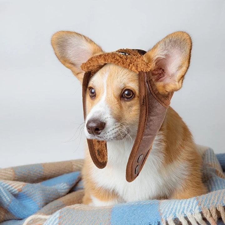 Winter pilot cap for pets warm and comfortable Bowlift