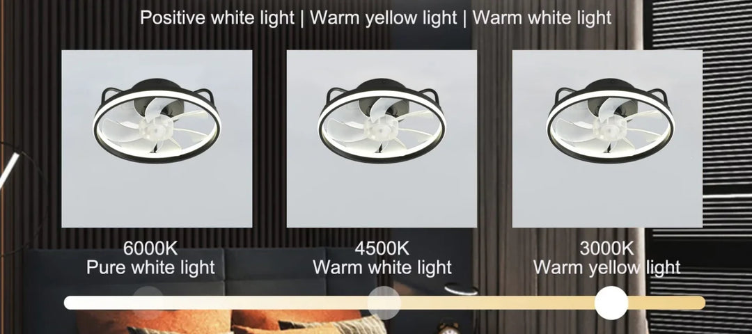 Modern LED Ceiling Fan Light with DC Motor - 6 Speed, Timer, Low Floor Attic Fan, Remote Control Decorative Light | Bowlift