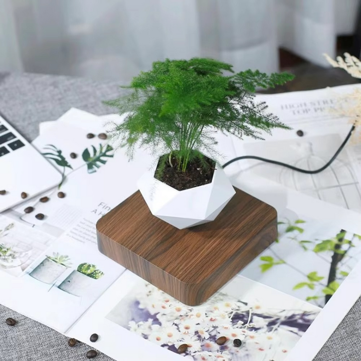 BowLift | Levitating Plant Pot – Magnetic Floating Planter
