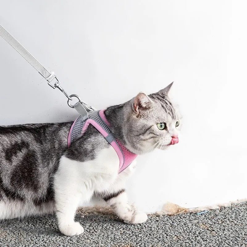 Adventurous Cat Harness with Leash – Adjustable and Reflective | Bowlift