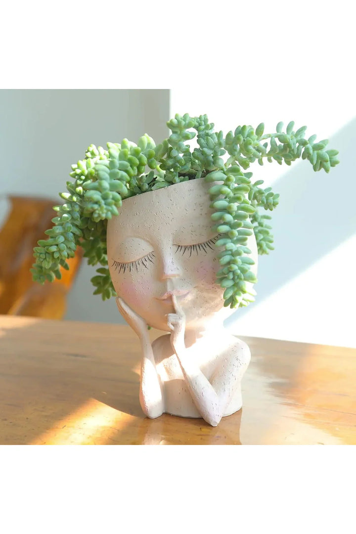 Succulent Plants Pot | Bowlift