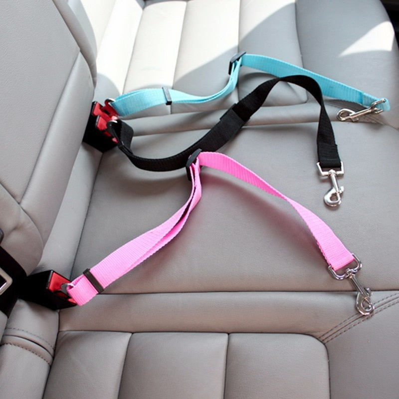 Safety seatbelt for Pets Bowlift