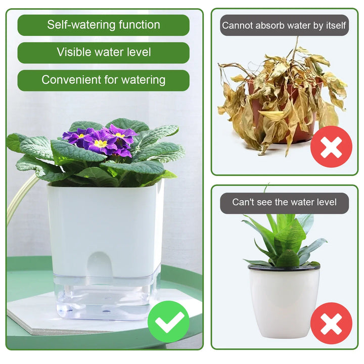 BowLift | Plant Pot BloomEase | Self-Watering & Space-Saving | With Water Level Indicator | For Indoor Plants & Herbs