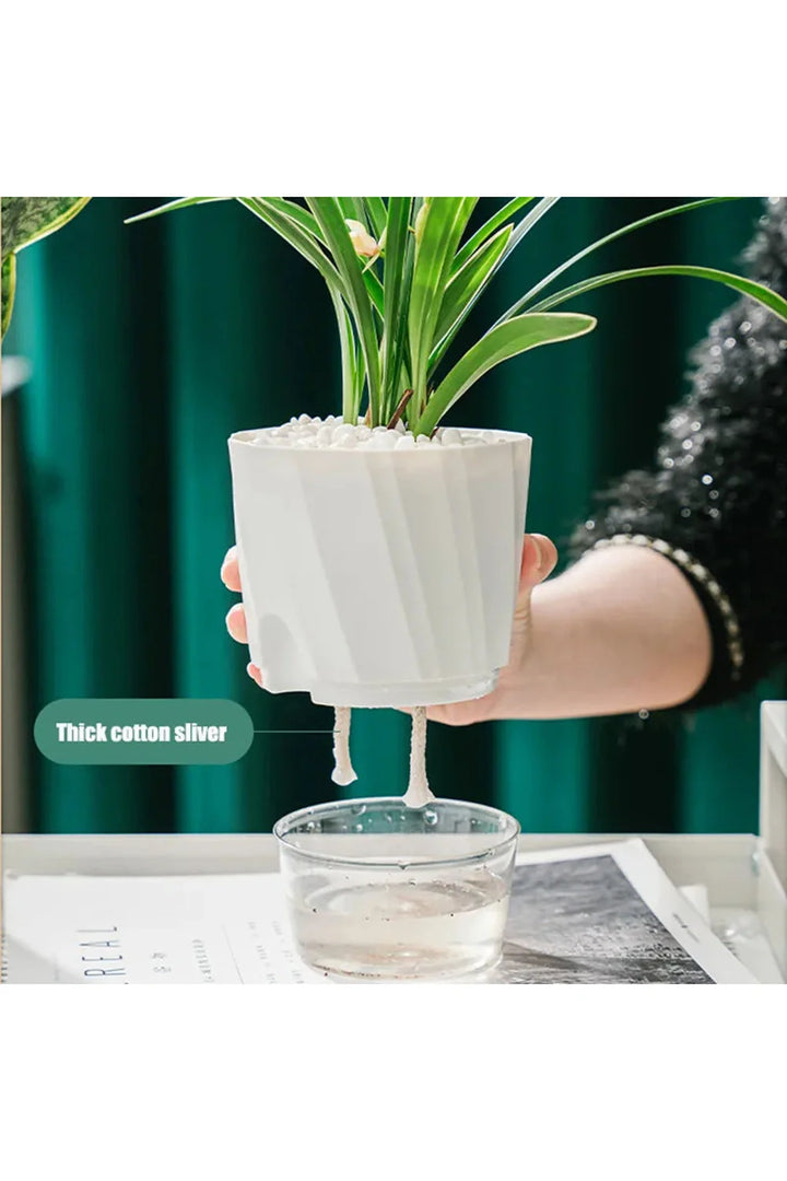Transparent office plant pot | Bowlift