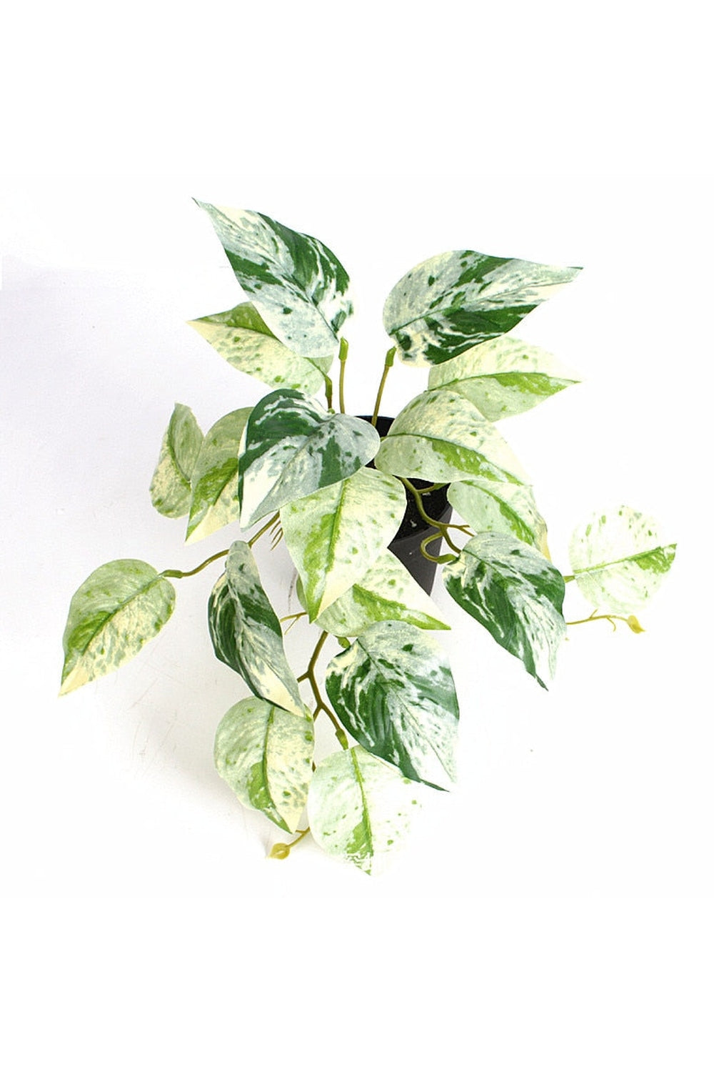 green grapevine wall decoration | Bowlift
