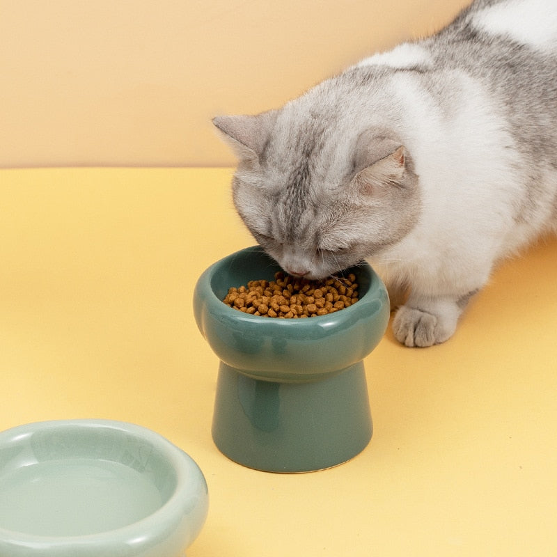 BowLift | Luna Ceramic Elevated Cat Bowls