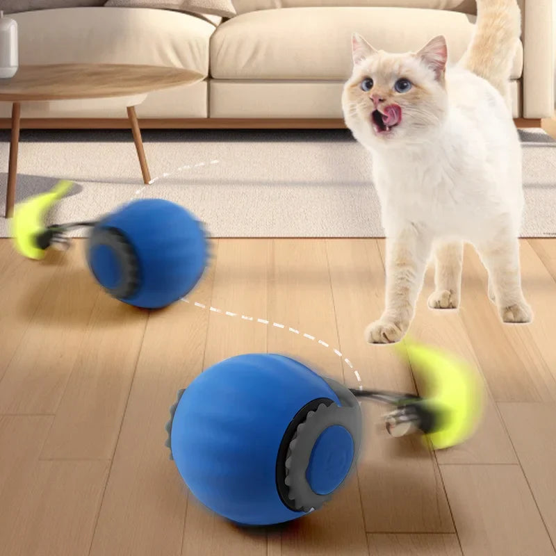 BowLift | Smart Cat Interactive Ball Toy