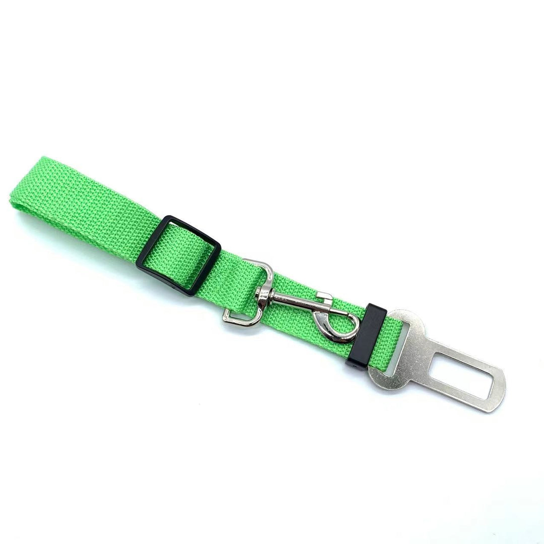 Safety seatbelt for Pets Bowlift