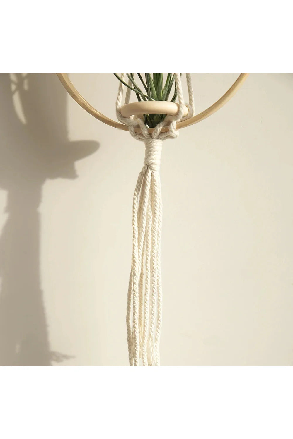 Macrame Plant Holder | Bowlift