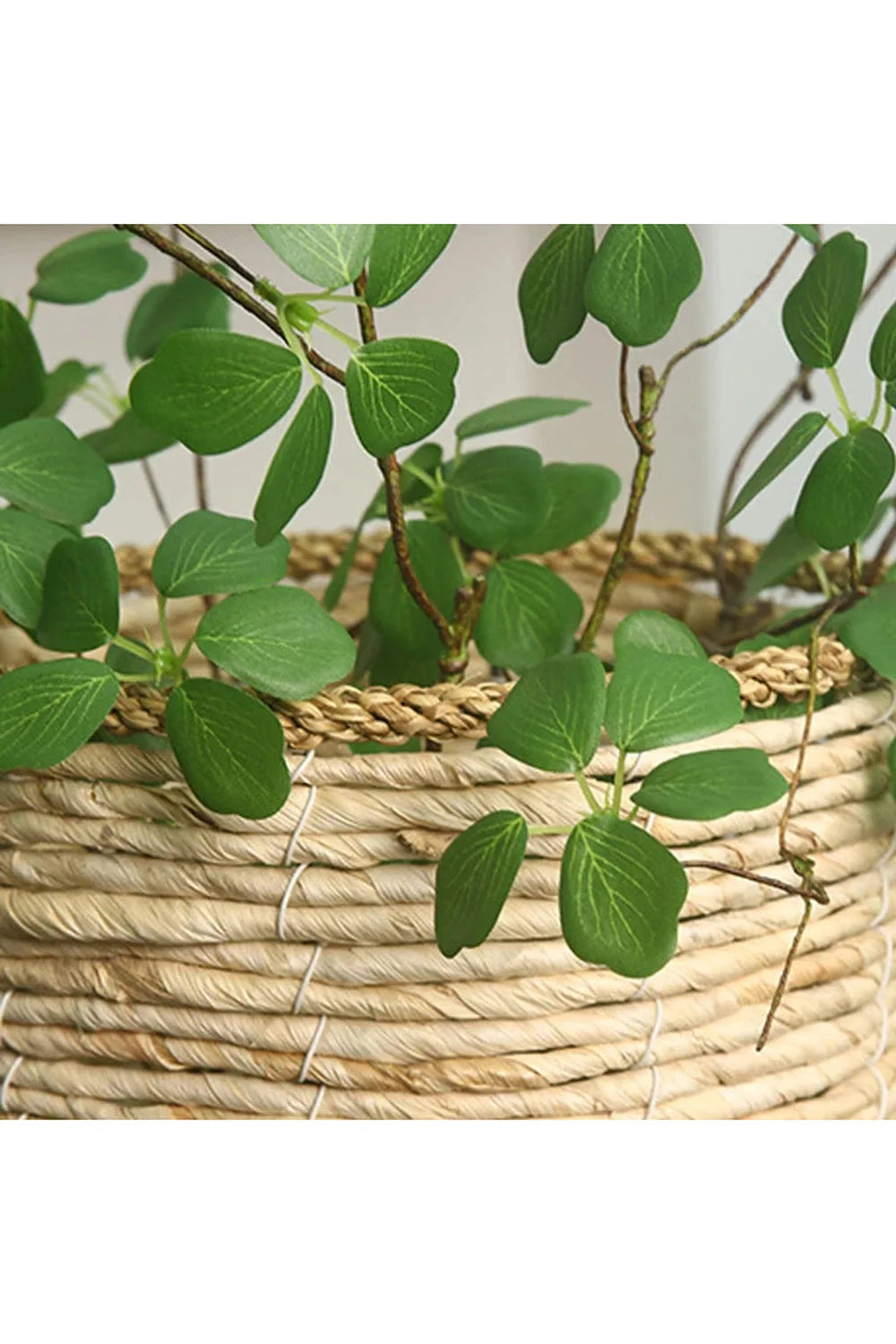 Lotus Artificial Plants | Bowlift