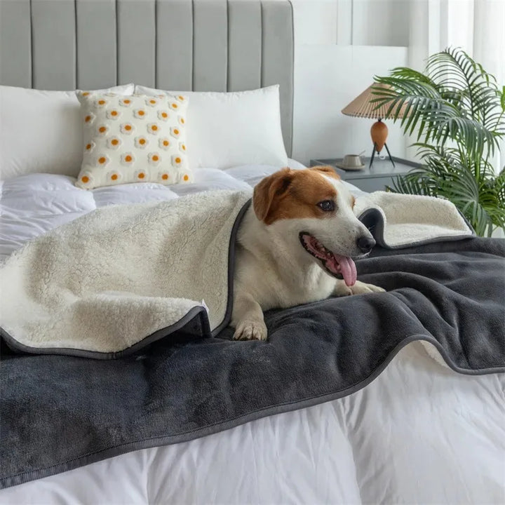 BowLift | Waterproof Pet Blanket PawProof | For Dogs & Cats | Cozy & Durable