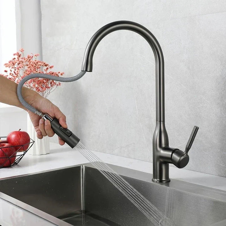 AquaStream Luxe – Adjustable Kitchen Faucet with Hand Shower Bowlift