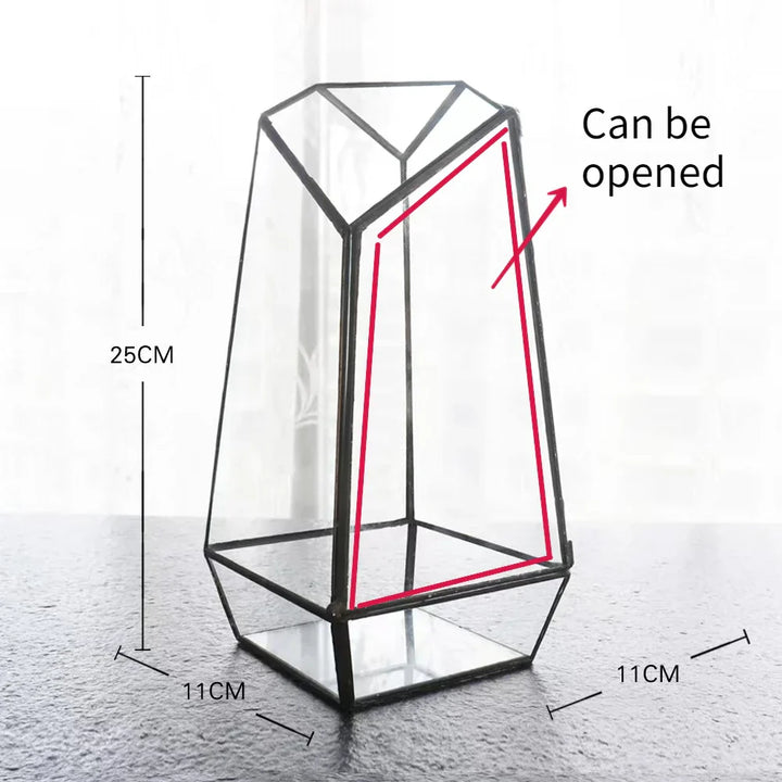 Modern Geometric Nature-Inspired Botanical Terrarium | Bowlift
