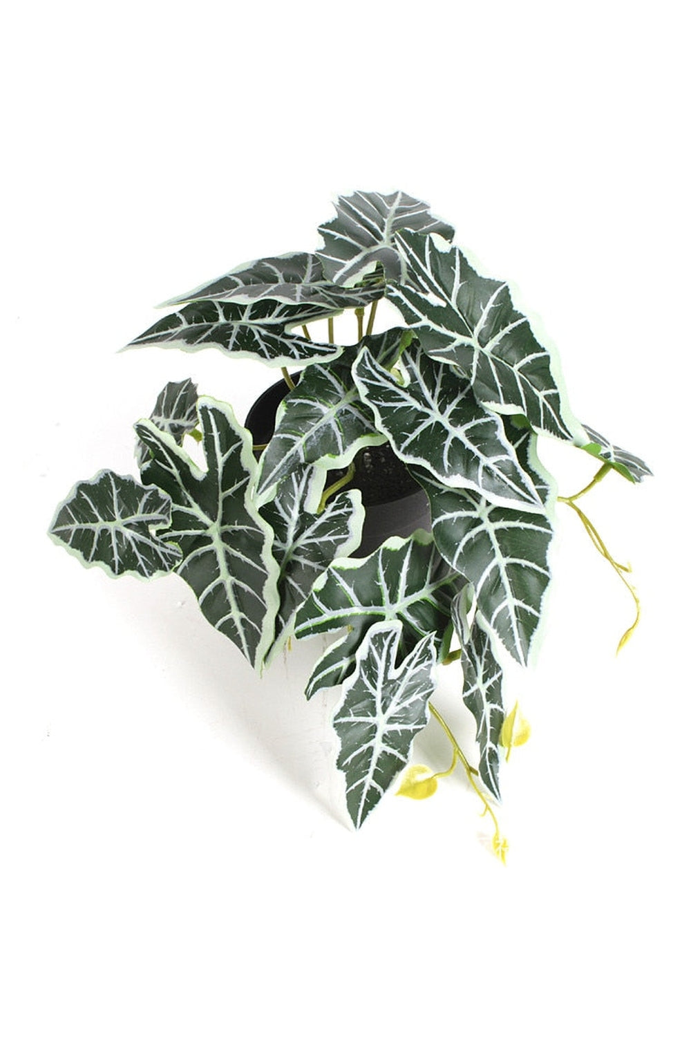 green grapevine wall decoration | Bowlift