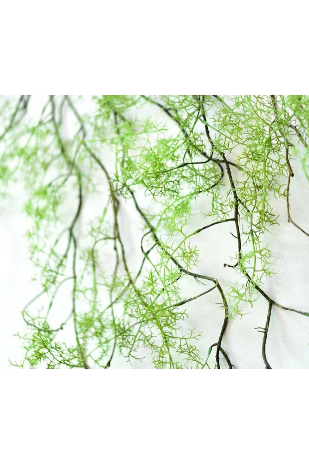 Grape Vine Wall Hanger Decor | Bowlift