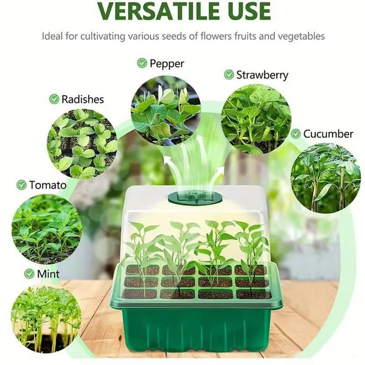 BowLift | 12-Cell Plastic Seedling Starter Tray for Succulent and Garden Seeds