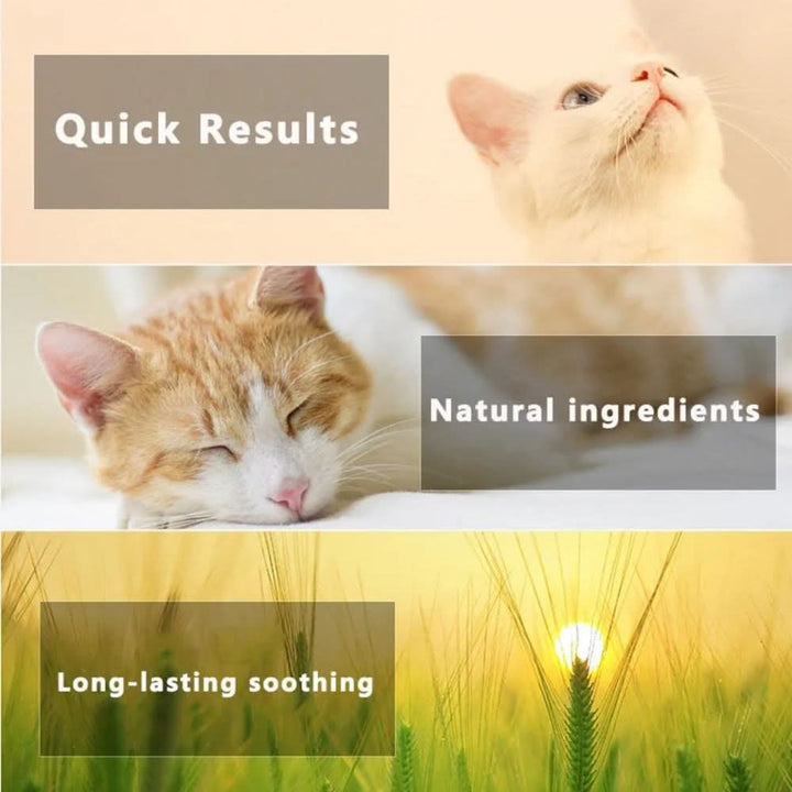 BowLift | Flea & Tick Protection Collar for Dogs & Cats