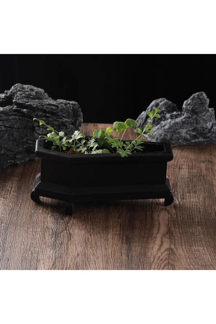 Coffin Plant Pot | Bowlift
