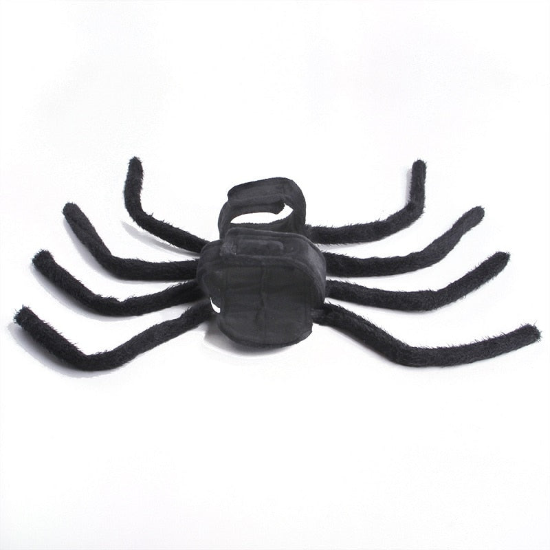 BowLift | Black Spider Pet Costume