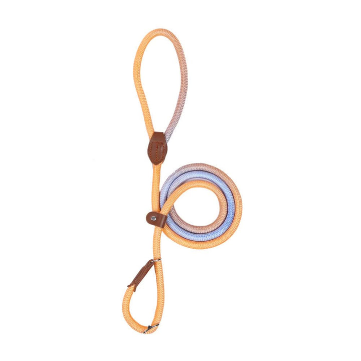 BowLift | Colorful Dog Leash for Stylish Walks