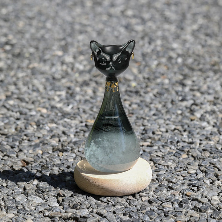 Cat-Inspired Weather Forecast Bottle | Bowlift