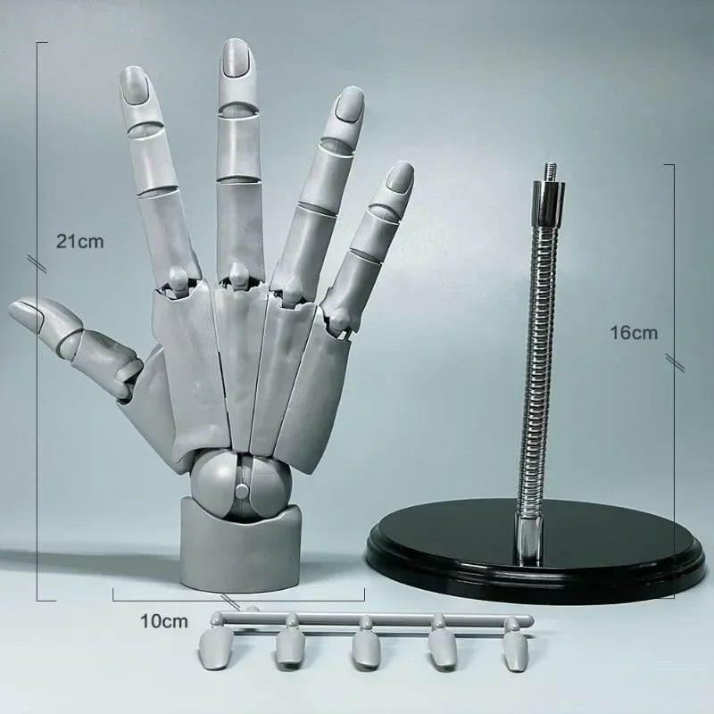 BowLift | Multi-Pose Drawing Sculpting Art Hand Model