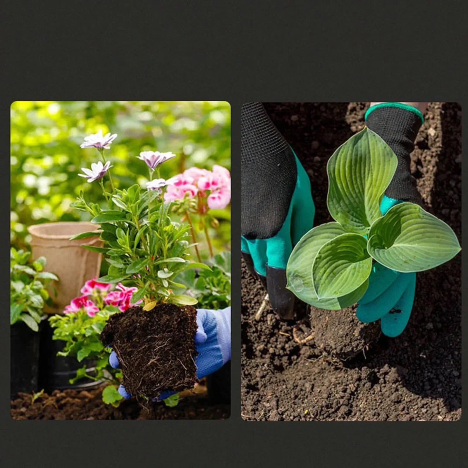 BowLift | GardenPro Garden Spade | Sturdy Iron | Ergonomic Handle | Versatile & Practical