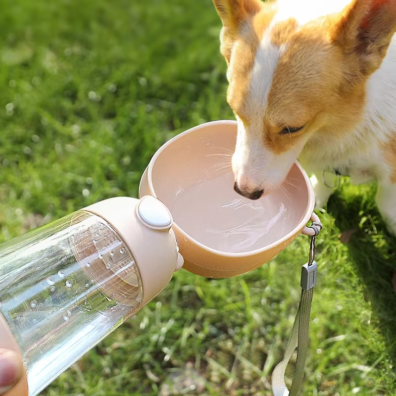 BowLift | Ultimate Portable Pet Hydration System