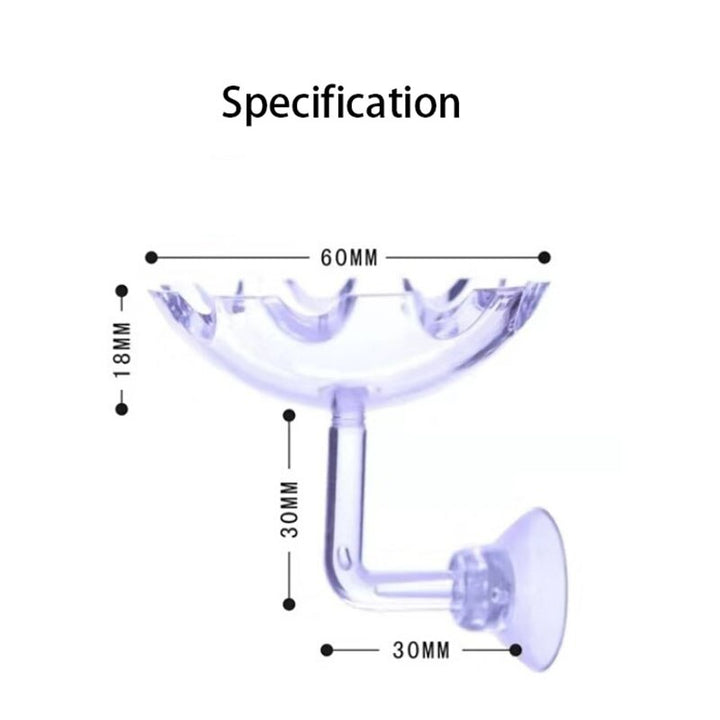 BowLift | Transparent Aquarium Glass Tube Fish Feeder