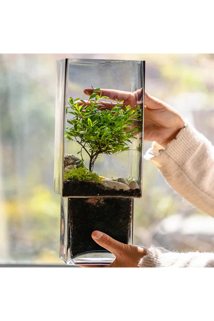 Wood Plant Pot | Bowlift